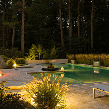 Tanning edges swimming pool design in Water Tech Fountains